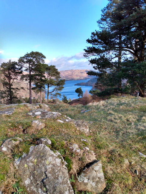 view